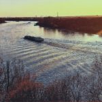 Der Rhein im Februar 2026